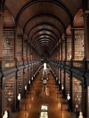 Books and libraries - library100.jpg